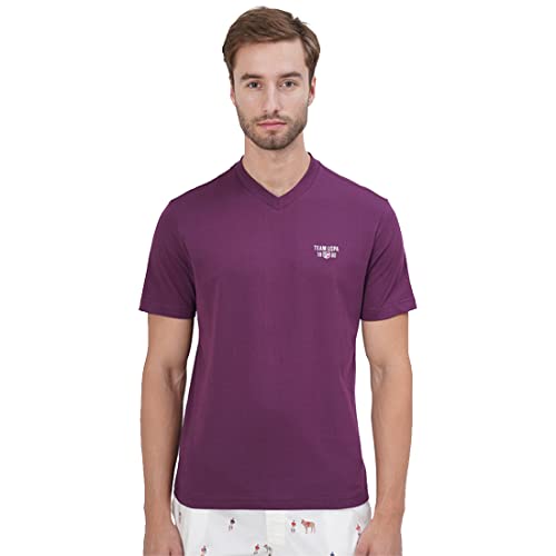 U.S. POLO ASSN. Men Comfort Fit V-Neck Cotton IYAS T-Shirt - Pack of 1 (Purple M)