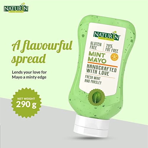 Naturin Mint Mayonniese - 100% Vegeterian, Gluten Free - Bursting Rich Indian Flavoured Dip Sauce (290gm)