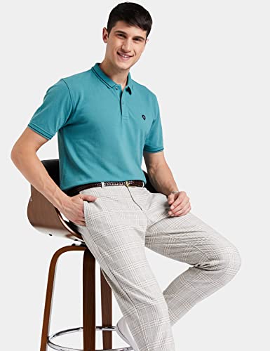 Van Heusen Men's Regular Fit Polo T-Shirt (VSKPWRGFR16516_Teal L)