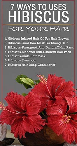 BRALCON Organic Raw Hibiscus -100g |Dry Hibiscus Flower |Rosa-Sinensis for Hair Care & FacePack |Gudhal Ka Phool for Hair growth, Skin Care|Pure raw form