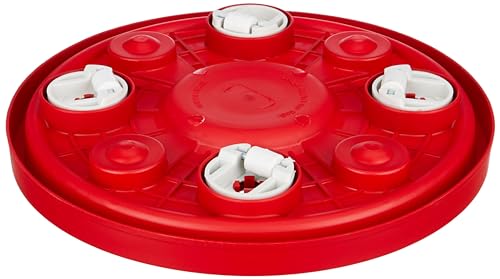 Amazon Brand - Solimo LPG Gas Cylinder Trolley (Red)