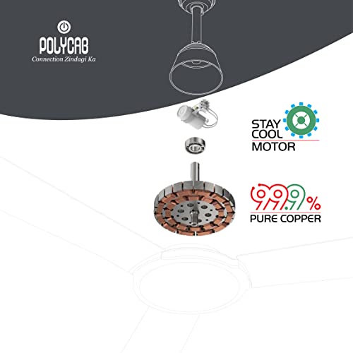 Polycab Superb 1200 mm High Speed Anti Rust Ceiling Fan (Cool grey Silver)