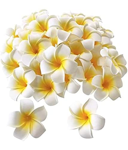 VRB Dec™ 12Pcs Artificial Big Foam Hawaaii Fake Foam Water Floating Flowers for Pooja Thali, Festival and Events, Home, Table, Badroom, Pooja Room, Diwali Decoration Items and DIY Craft (White, 12)