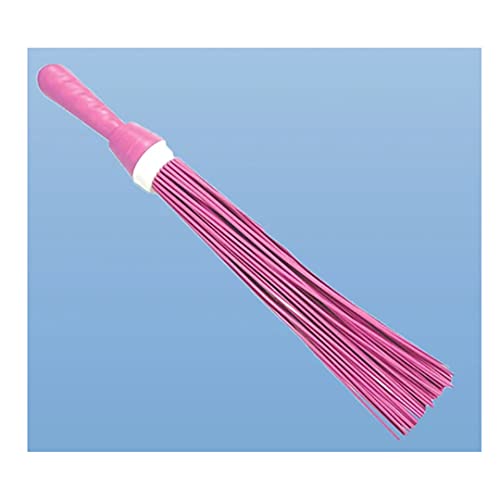 Sulfar Wet & Dry Floor Cleaning Plastic Broom(Multicolor)