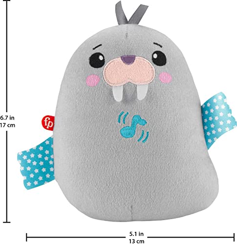 Fisher-Price ?Fisher-Price Chill Vibes Walrus Soother, Take-Along Musical Plush Toy with Calming Vibrations for Infants