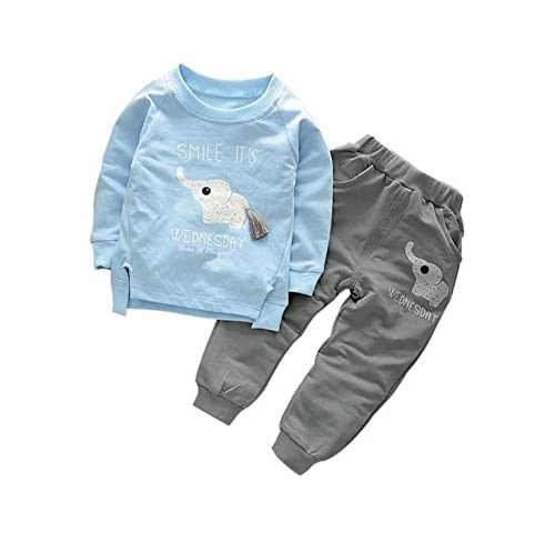 Bold N Elegant - Be Bold Inside & Elegant Outside Kid's Cotton T-Shirt Pant Set (BNEKD10007_3 Years-4 Years_Sky Blue, Grey)