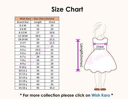 Wish Karo Girl's A-Line Knee-Length A-line Dress (Wine , 2-3 Years)