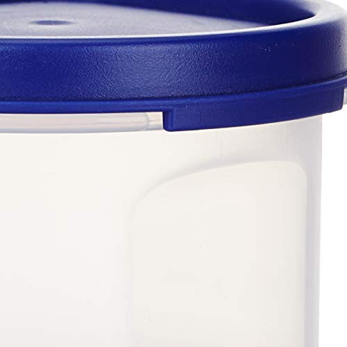 Amazon Brand - Solimo Modular Plastic Storage Containers with Lid, Set of 8 (250ml each), Blue