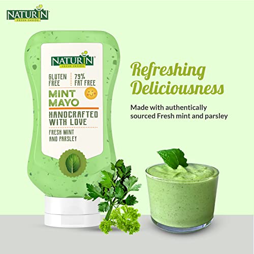 Naturin Mint Mayonniese - 100% Vegeterian, Gluten Free - Bursting Rich Indian Flavoured Dip Sauce (290gm)