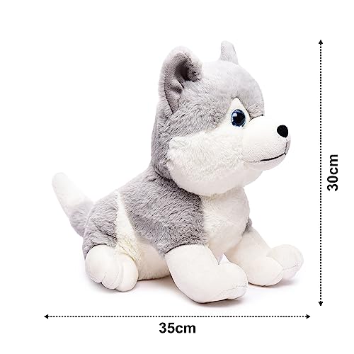 Webby Plush Husky Dog Stuffed Animal Puppy Soft Toy, Adorable Gifts for Kids and Adult, Glitter Eyes Soft Toy, 35CM (Grey)