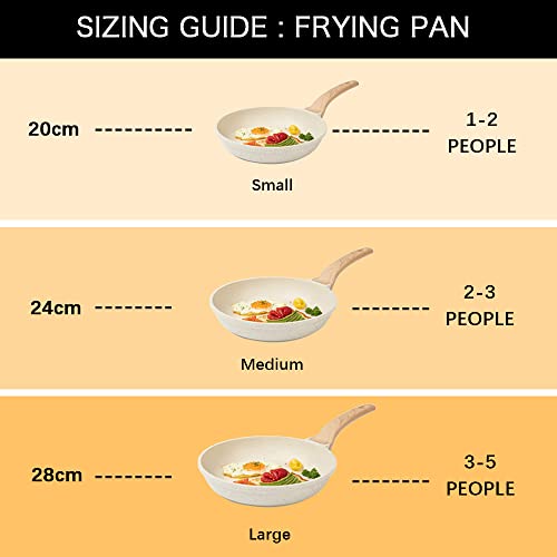CAROTE Non Stick Frying Pan, Granite Omlette Egg Pan, Induction&Gas Fry Pan, Fish Pan, PFOA Free (20 CM, Steel Whie Granite)