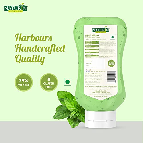 Naturin Mint Mayonniese - 100% Vegeterian, Gluten Free - Bursting Rich Indian Flavoured Dip Sauce (290gm)