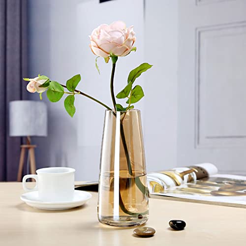 TIED RIBBONS Decorative Glass Vase for Flower Plants Home Decor Office Living Room Bedroom Table Top Decorations Items (Gold, 22.8 cm x 6.3 cm x 7.6 cm)