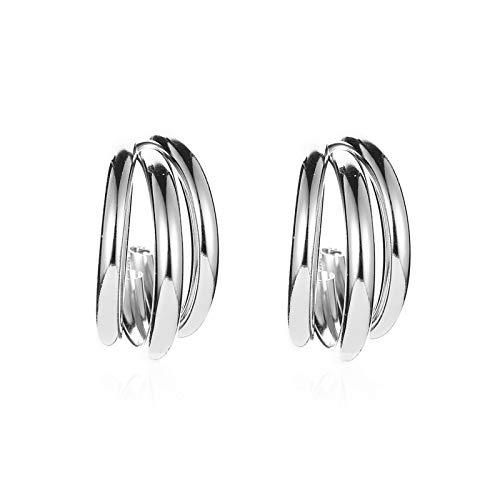 Silver Colored Twisted Hoop Earrings