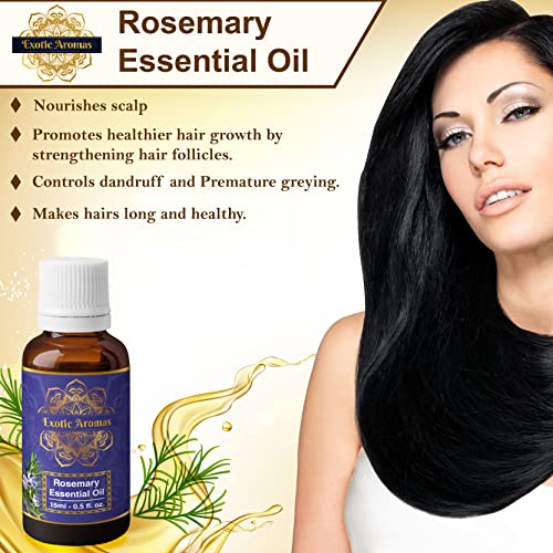 Exotic Aromas Rosemary Oil for Hair Growth,Essential Oil for Skin, Aromatherapy 100% Pure & Natural (15 Ml+15 Ml) Pack of 2