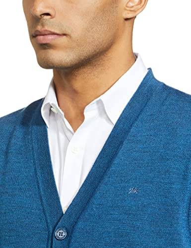 Monte Carlo Men's Pure Wool Classic Cardigan Sweater (1220512SC_Blue_L)
