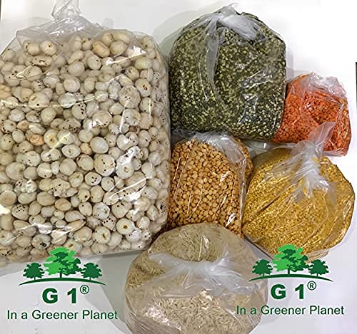 G 1 Transparent Bags | Multipurpose | Grocery Bags | Packaging Bags | 51 Microns Thickness | 5000 Grams | 50 Pieces