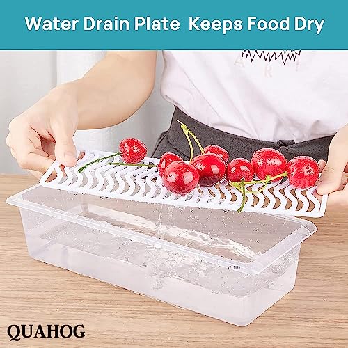 QUAHOG Fridge Storage Boxes (Pack of 6), Fridge Organizer with Removable Drain Plate Tray Keeps Fruits, Vegetables, Meat, Fish Fresh Longer 1500 ML, Polypropylene