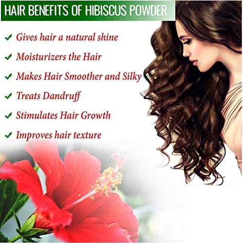 BRALCON Organic Raw Hibiscus -100g |Dry Hibiscus Flower |Rosa-Sinensis for Hair Care & FacePack |Gudhal Ka Phool for Hair growth, Skin Care|Pure raw form