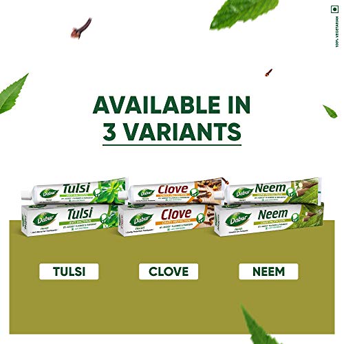 Dabur Herb'l Neem 300g (200g + 100g) - Germ Protection Toothpaste with No added Fluoride and Parabens