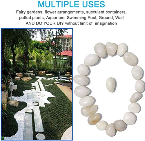 Schmick 950 Grams White Pebbles for Decoration - Pebbles for Plants Pots - Pebbles for Garden, Table and Home Decor, Vase Fillers (950 Grams, White Stone)
