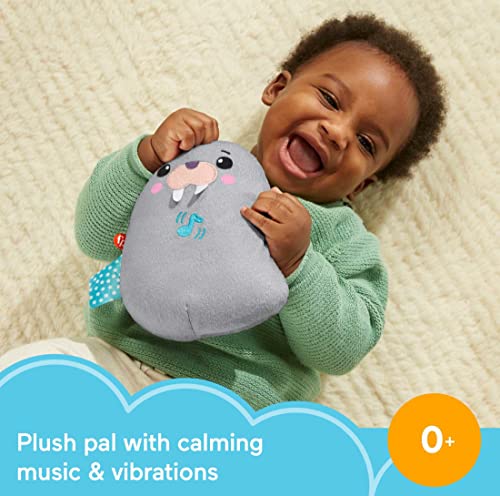 Fisher-Price ?Fisher-Price Chill Vibes Walrus Soother, Take-Along Musical Plush Toy with Calming Vibrations for Infants