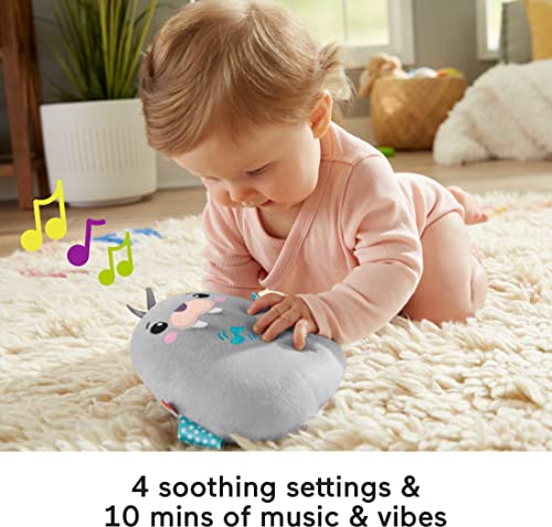 Fisher-Price ?Fisher-Price Chill Vibes Walrus Soother, Take-Along Musical Plush Toy with Calming Vibrations for Infants