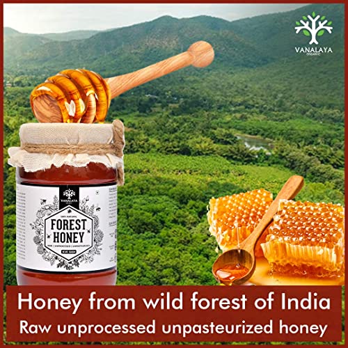 Vanalaya Natural Organic Forest Honey Raw Unprocessed Unpasteurized Pure Honey (500G)