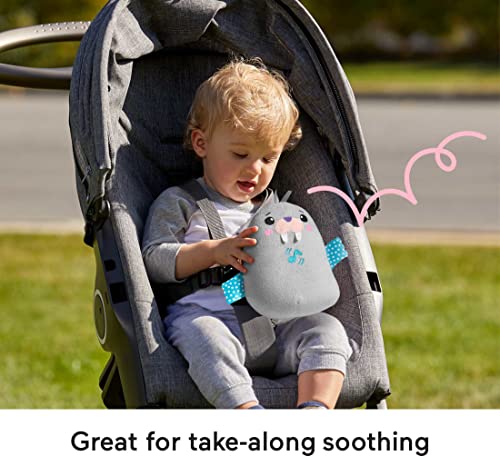 Fisher-Price ?Fisher-Price Chill Vibes Walrus Soother, Take-Along Musical Plush Toy with Calming Vibrations for Infants