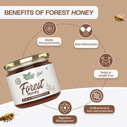 Nature's Nectar Select Forest Honey | NMR Tested | 100% Pure Raw and Unprocessed Honey | 400gm Bottle