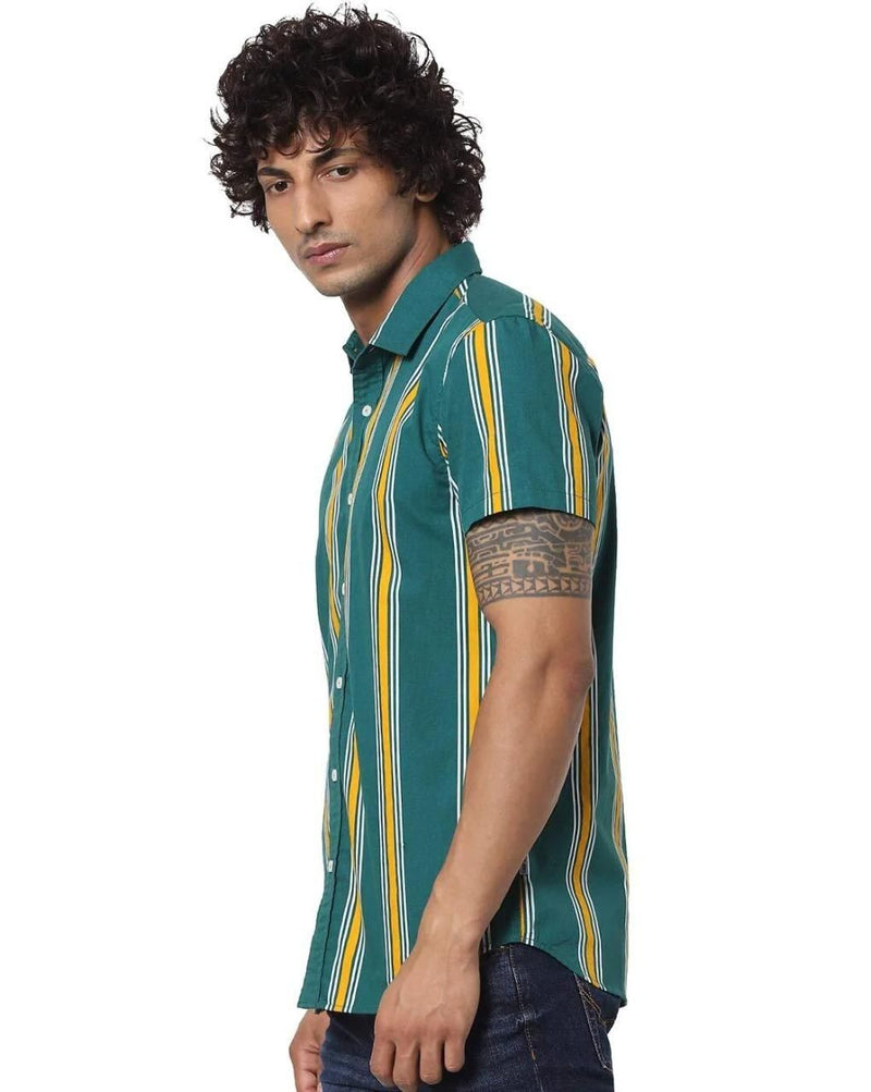 Rayon Stripes Half Sleeves Regular Fit Mens Casual Shirt