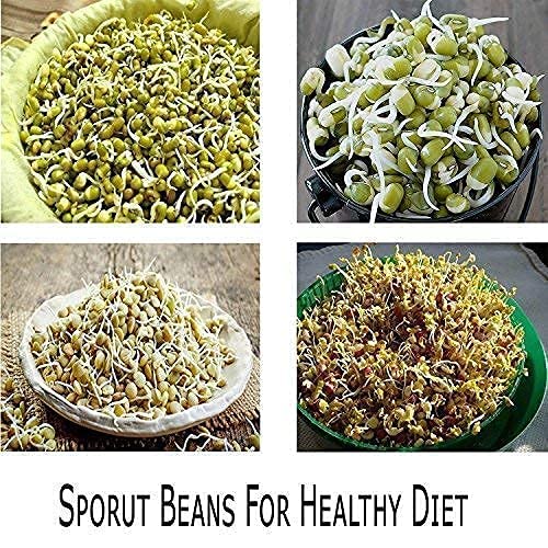 Rylan Sprout Maker with 4 Compartments for Multi Purpose Use - Plastic Grocery Container Sprouted Grains Seeds Dal Channa Chole Ragi Organic Sprouting Jar (500ml,4-Layer)