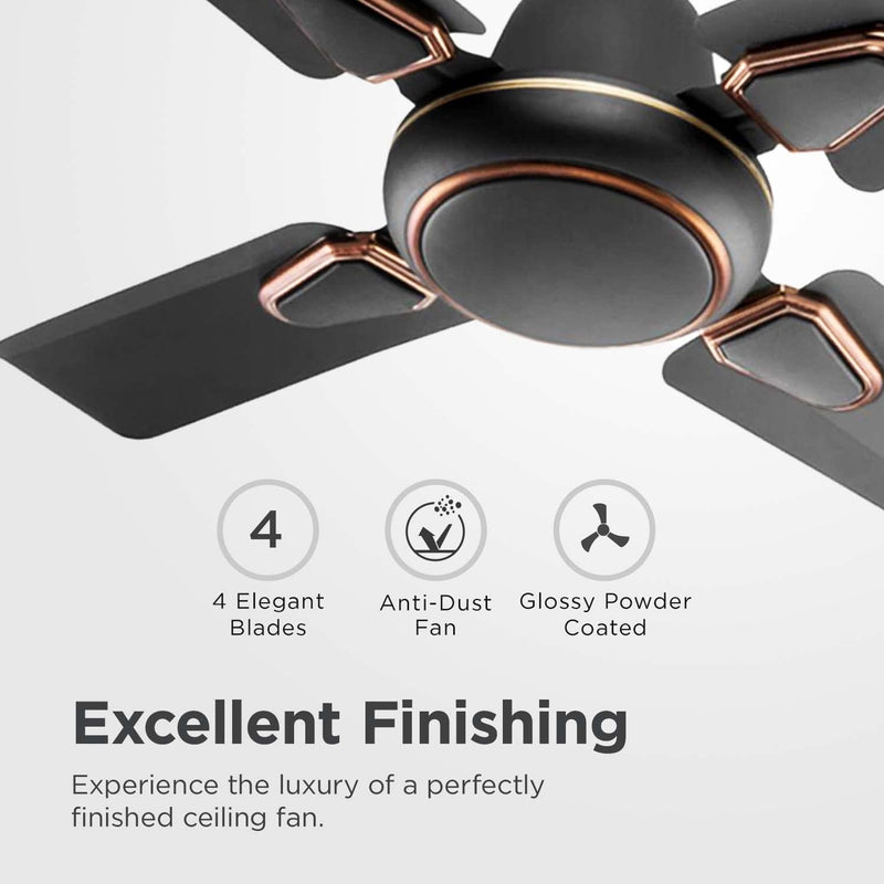 Candes Brio Turbo 600 mm / 24 Inch High Speed 4 Blade Anti-Dust Ceiling Fan Suitable for Kitchen/Veranda/Balcony/Small Room (Pack of 1,Smoke Brown)