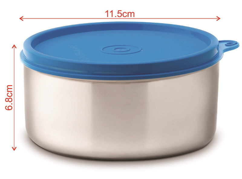 Signoraware Executive Big Stainless Steel Container, 500 ml/20mm, Blue