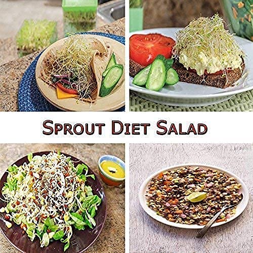 Rylan Sprout Maker with 4 Compartments for Multi Purpose Use - Plastic Grocery Container Sprouted Grains Seeds Dal Channa Chole Ragi Organic Sprouting Jar (500ml,4-Layer)