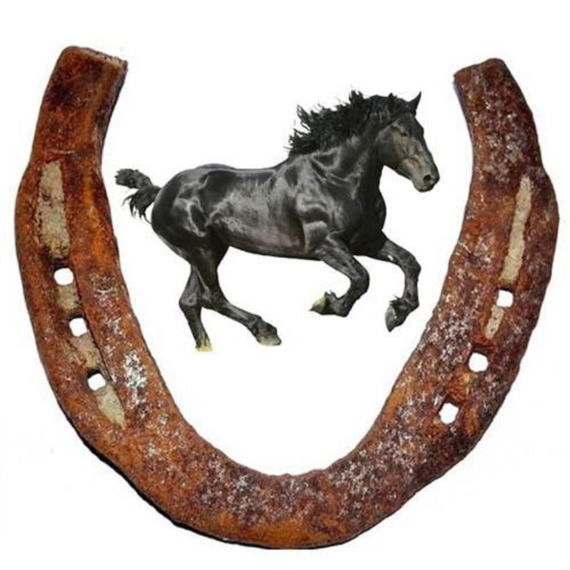 SoilMade Horse Naal, Oval Shape, Metal Made, Size Aprox 7cm and 50g, Pack of 1 Horse Naal in Box