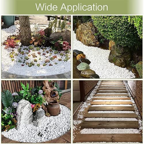 Foodie Puppies Polished White Pebbles Glossy Stones - 5Kg (2.5cm - 4cm) | for Home Decorative, Vase Fillers, Aquarium Fish Tank, Garden River Rock Unplanted Substrate