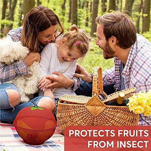 XAVRY Fruits Basket for Kitchen Basket with Net Cover (Large Size 28.5 Cm) (Red, Iron),1 Liter