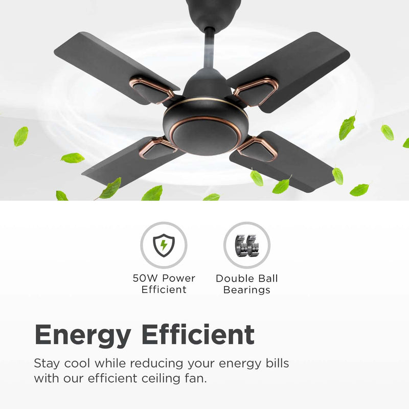 Candes Brio Turbo 600 mm / 24 Inch High Speed 4 Blade Anti-Dust Ceiling Fan Suitable for Kitchen/Veranda/Balcony/Small Room (Pack of 1,Smoke Brown)