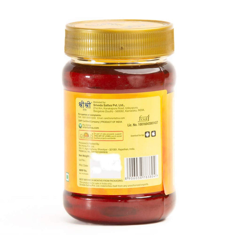 Sri Sri TATTVA shuddhta ka naam Honey - Natural & Pure - 500G (Pack Of 2)