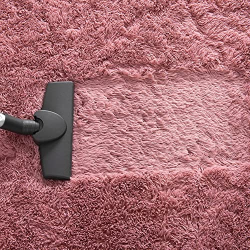 imra carpet Soft Modern Shag Area Rugs Fluffy Living Room Carpet Comfy Bedroom Home Decorate Floor Kids Playing Mat 2 Feet by 3 Feet, Bluse-Pink