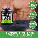 Optimum Nutrition Serious Mass Weight Gainers/mass Gainers