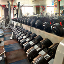 Metalix Gym Membership - Jodhpur Rajasthan