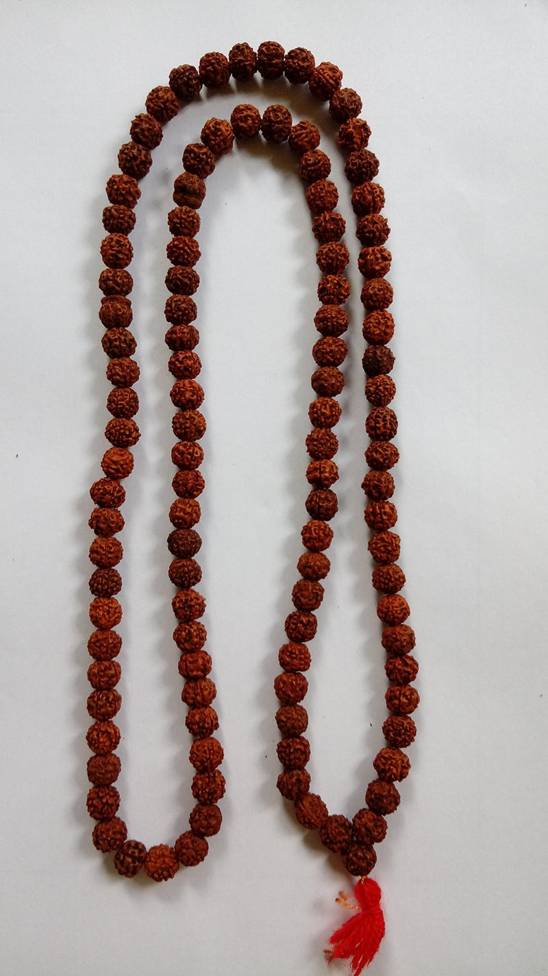 ISKCON Rudraksha 5 Mukhi RUDRAKSHA JAAP MALA/Beads for Pooja (Astrology) Medium(108+1 Beads) and Certified